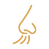 nose icon